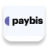 Paybis